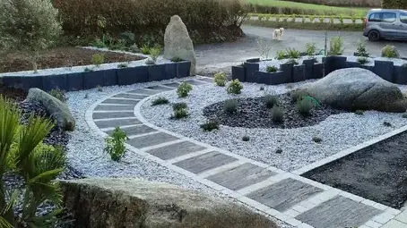 élagage d'arbre Guipavas-2