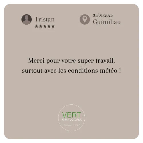 elagage d arbre landivisiau