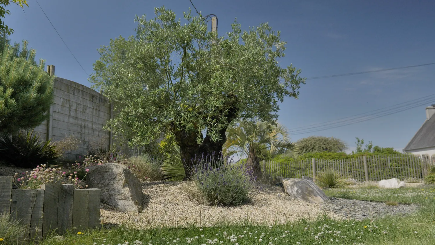 elagage d arbre morlaix